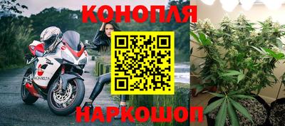 твердый Лесосибирск