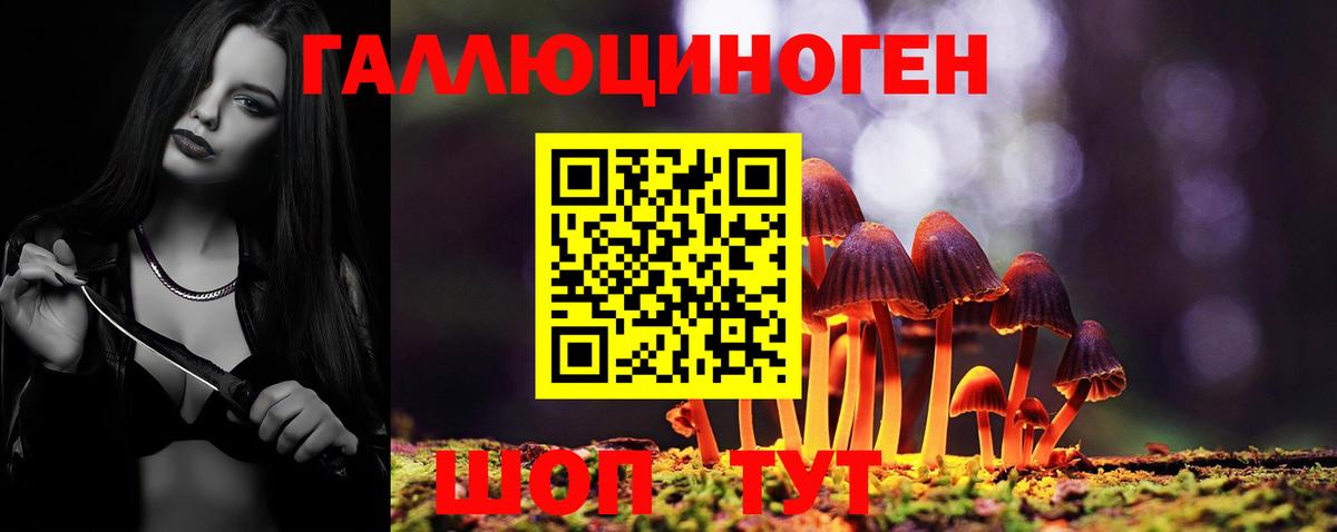 Каменка  Псилоцибиновые грибы мухоморы  Вход с VPN 